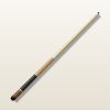 bida p co beginner
